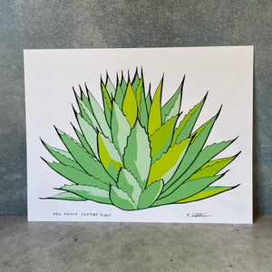 New Mexico Century Plant - Print