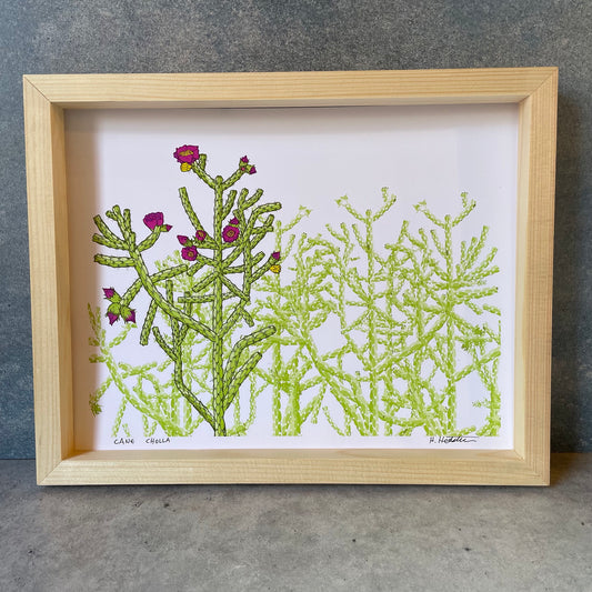 Cane Cholla - Print