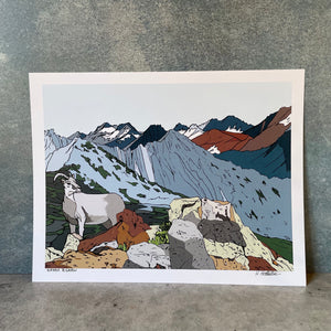 Sierra Bighorn Sheep - Print