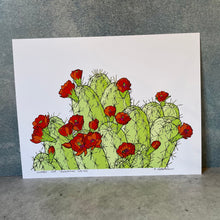 Load image into Gallery viewer, HedgeHog Cactus - Print
