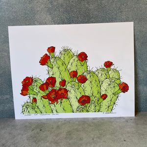 HedgeHog Cactus - Print