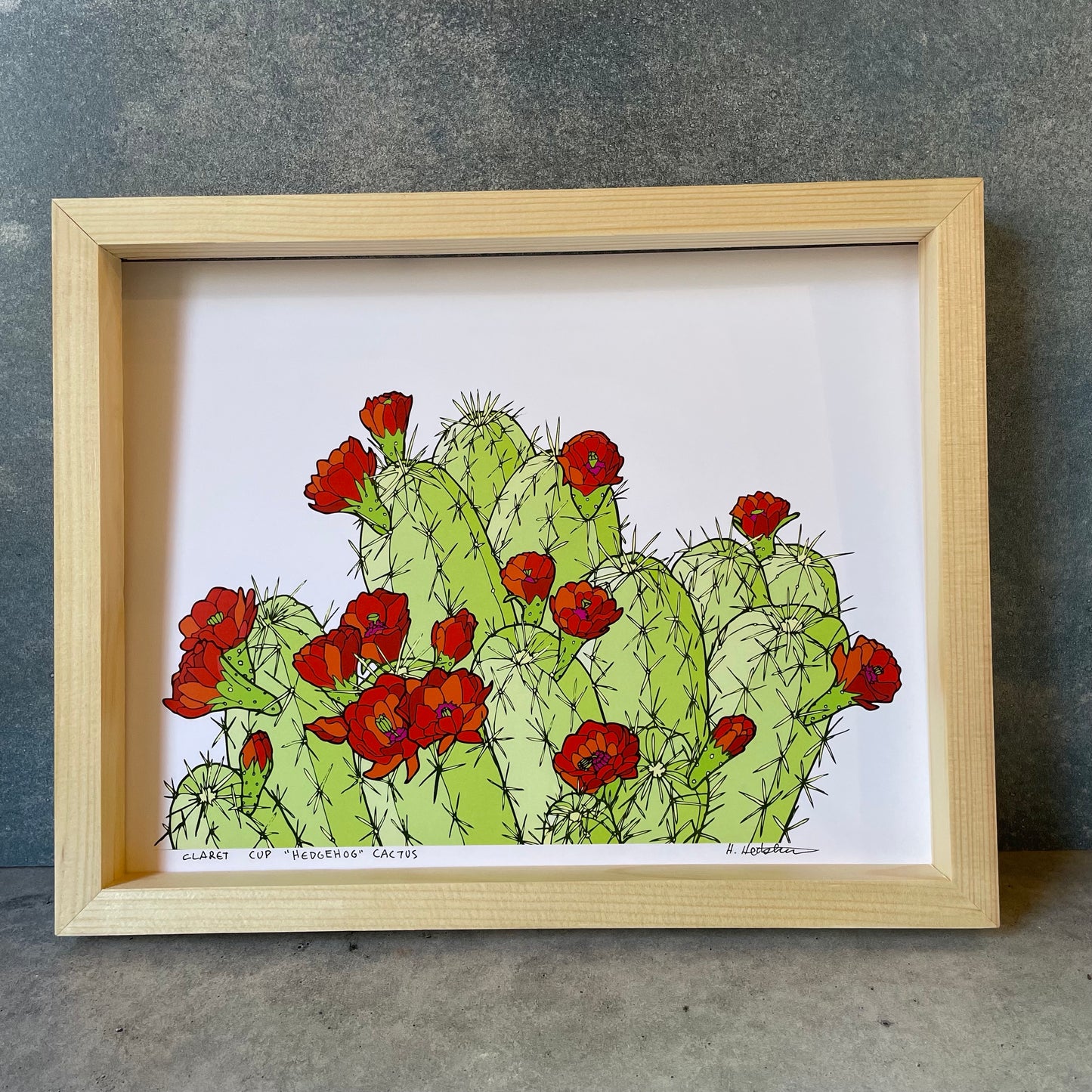 HedgeHog Cactus - Print