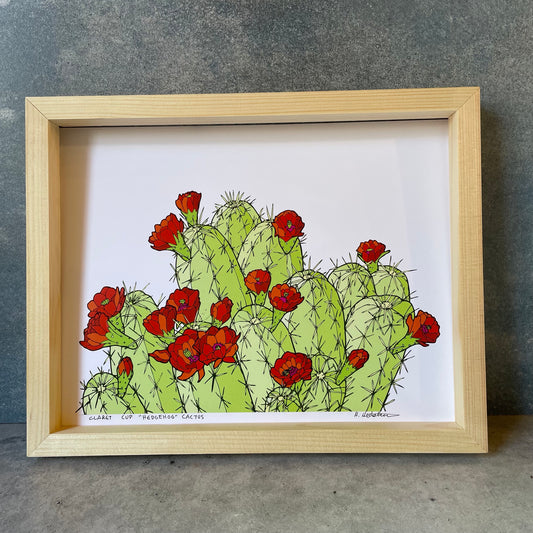 HedgeHog Cactus - Print