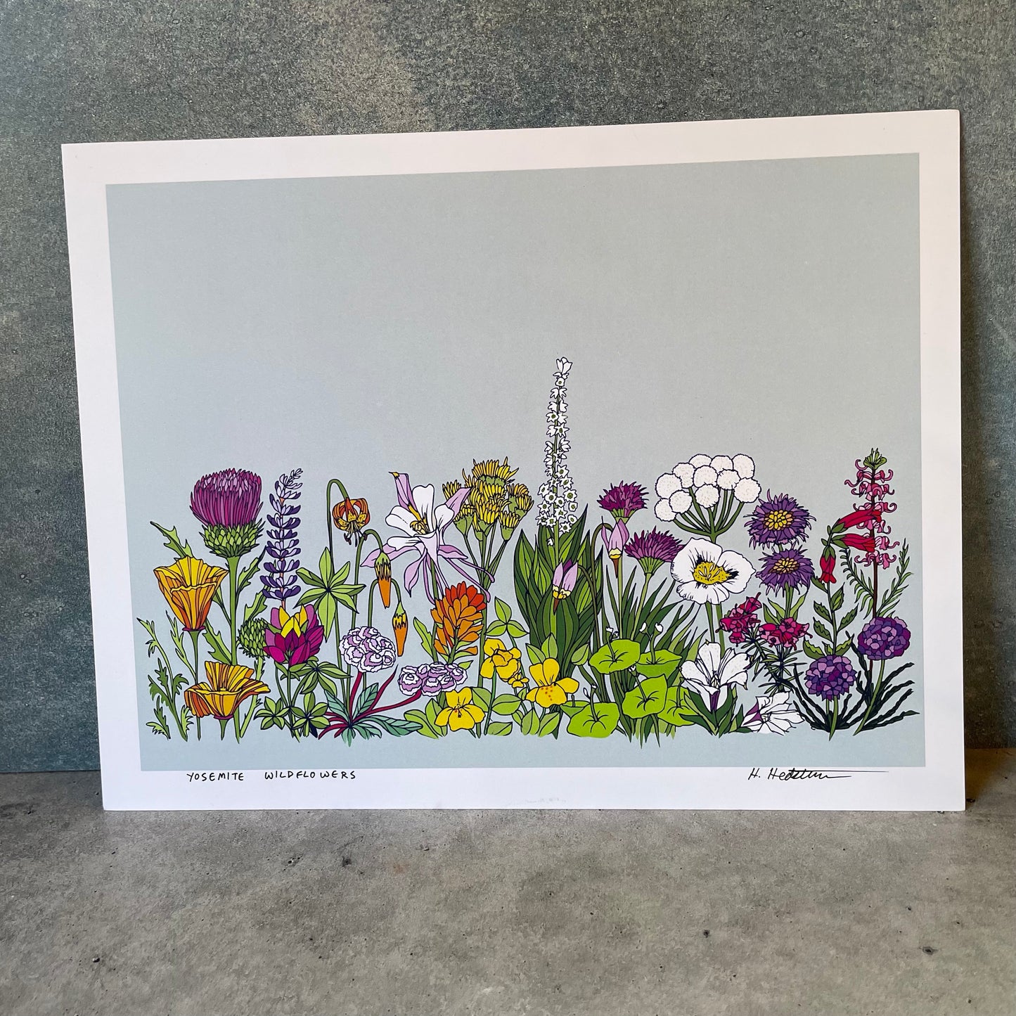 Wildflowers - Print