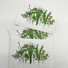 Load image into Gallery viewer, Herb Garden Greeting Cards - set of 5
