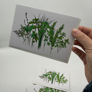 Herb Garden Greeting Cards - set of 5