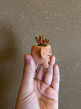 Load image into Gallery viewer, Terracota ancho little planter with legs - la jardinera
