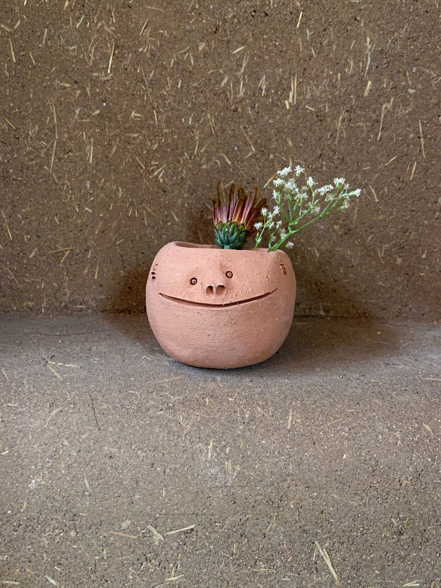Little terracota smiling face planter