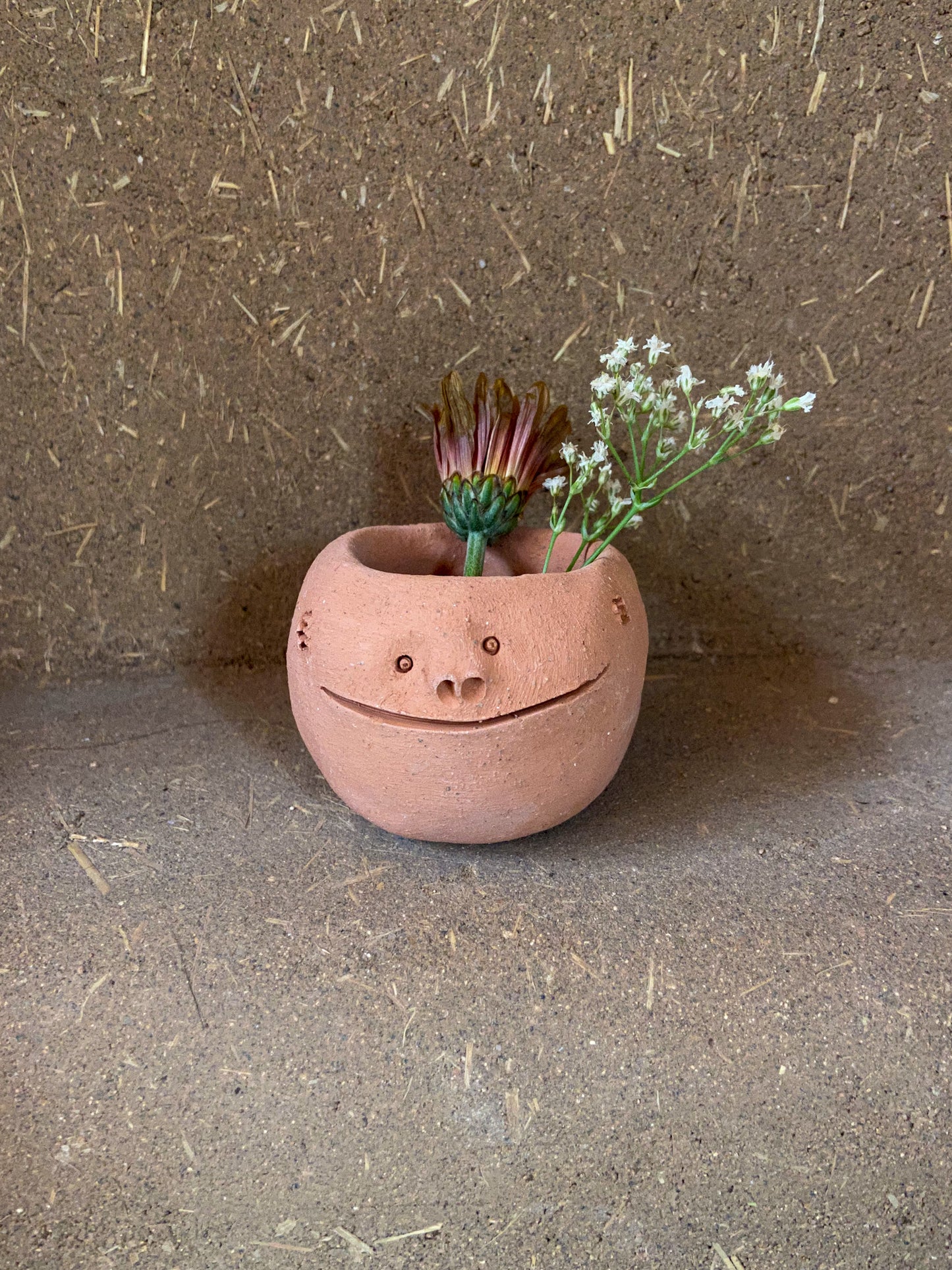 Little terracota smiling face planter
