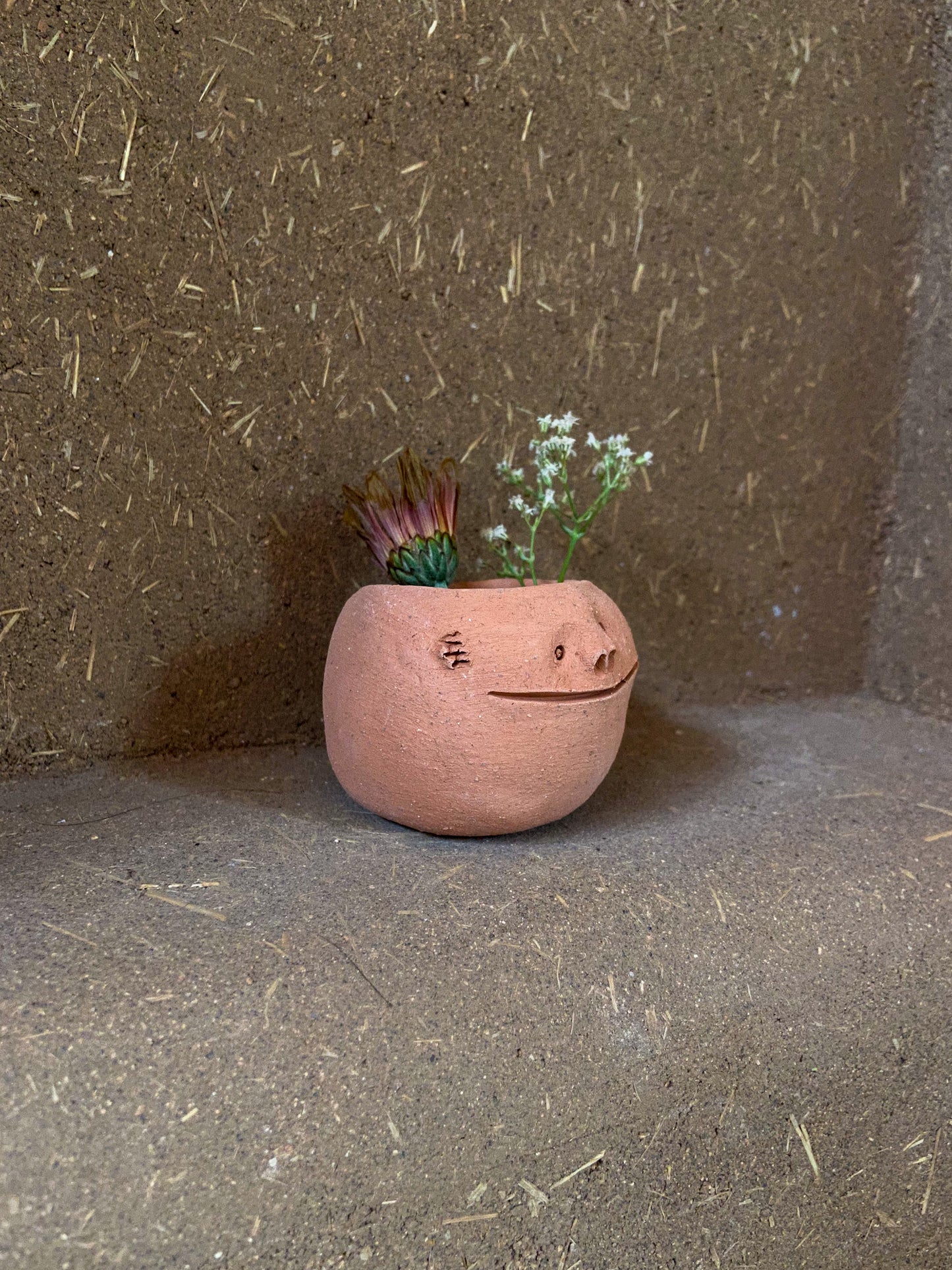 Little terracota smiling face planter