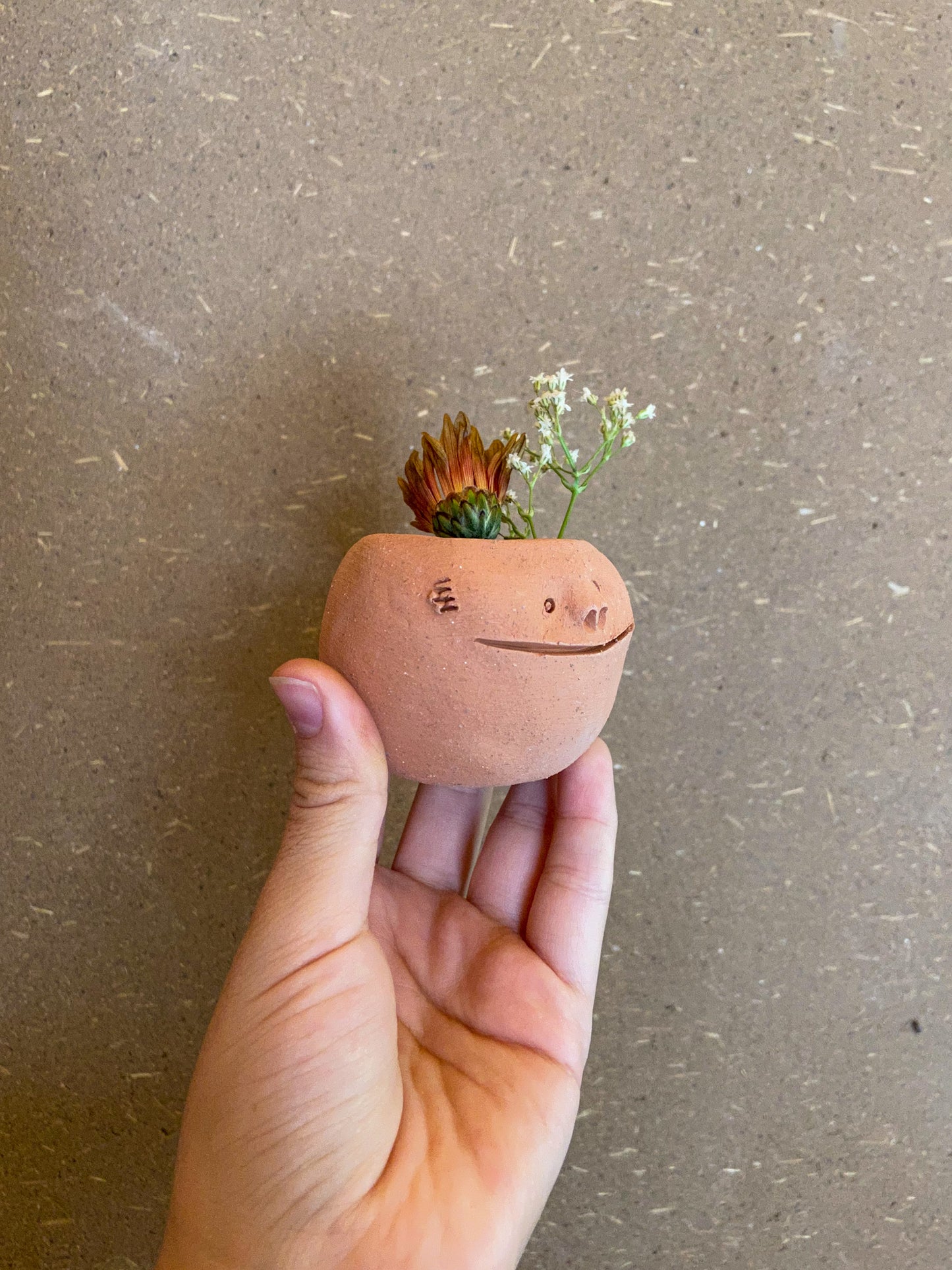 Little terracota smiling face planter