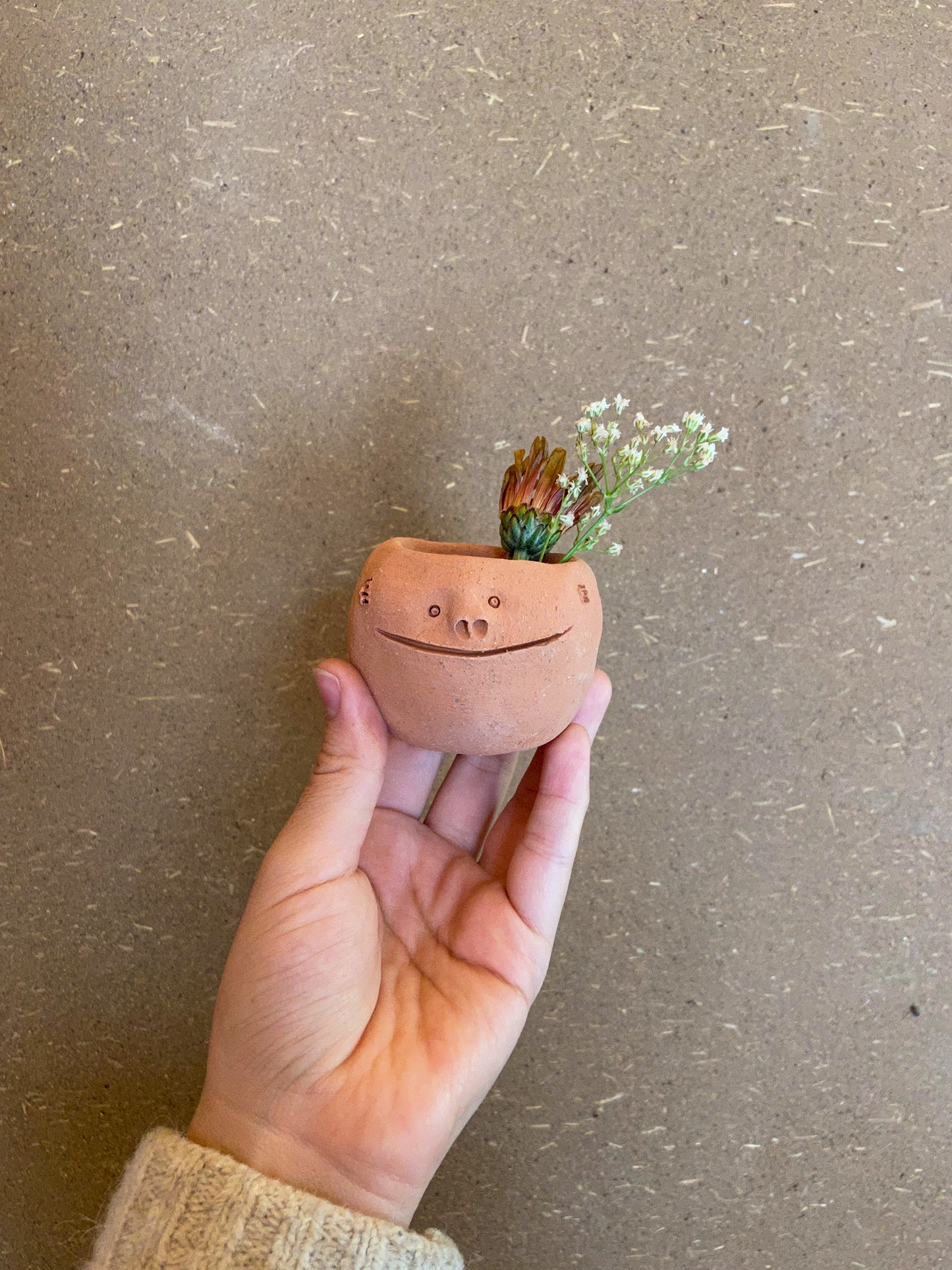 Little terracota smiling face planter