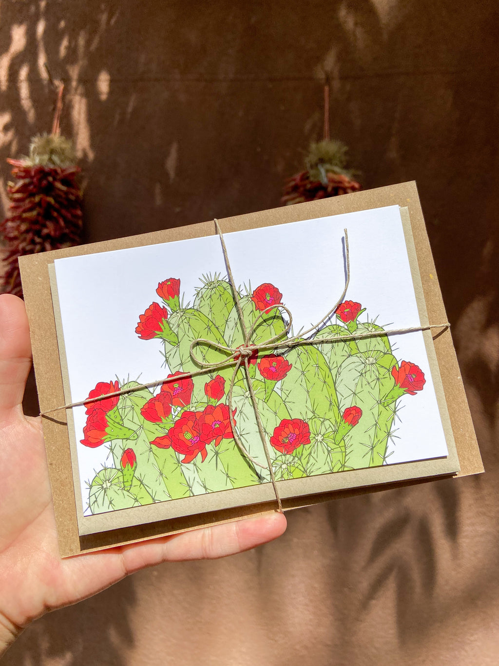 Hedgehog Cactus Greeting Cards - Set of 5