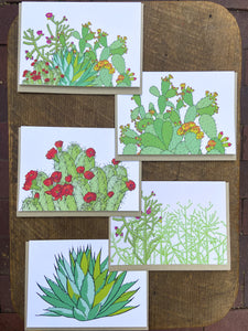Cacti Greeting Cards - set of 5