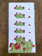 Hedgehog Cactus Greeting Cards - Set of 5