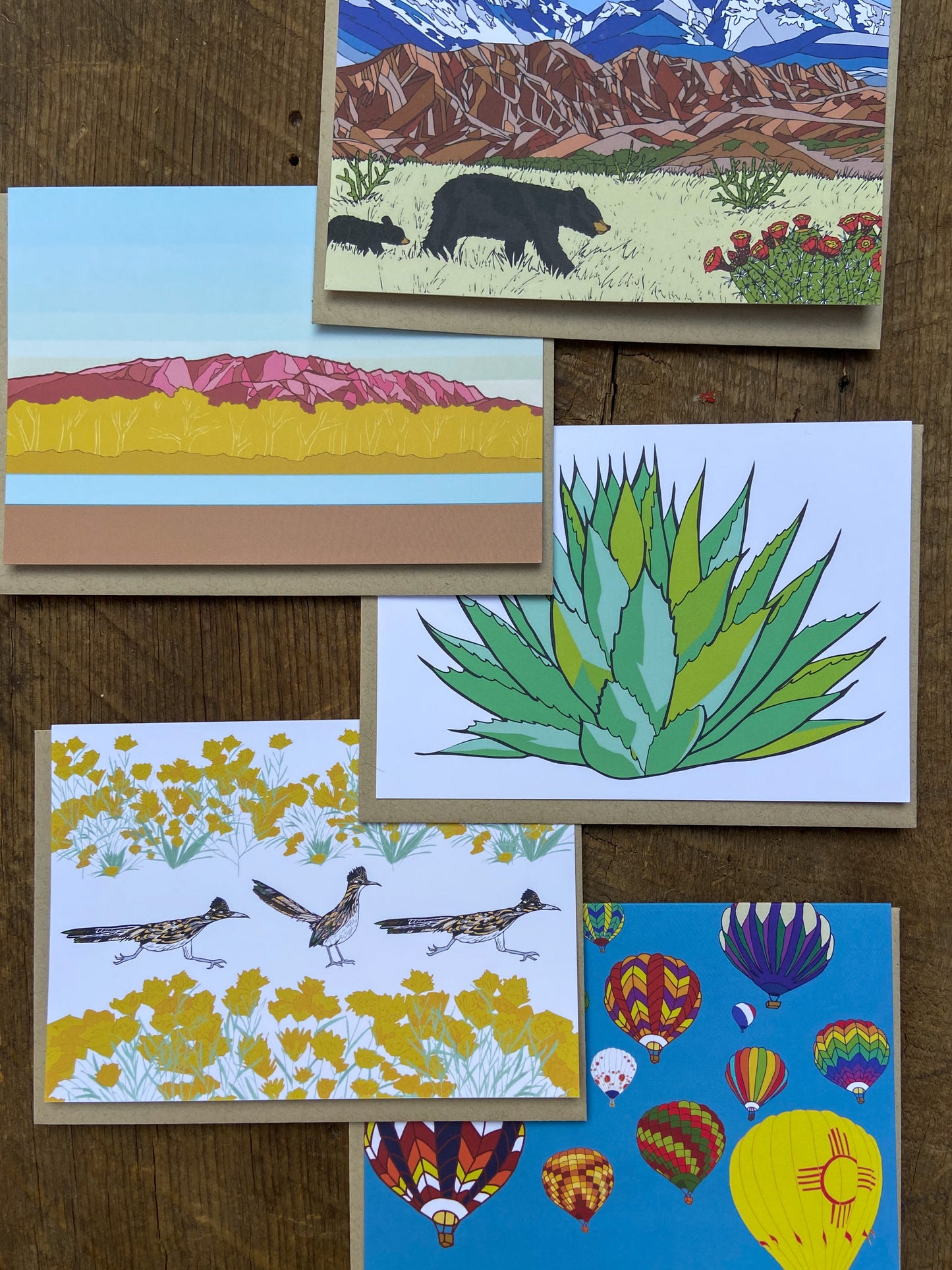 New Mexico Greeting Cards- Set of 5