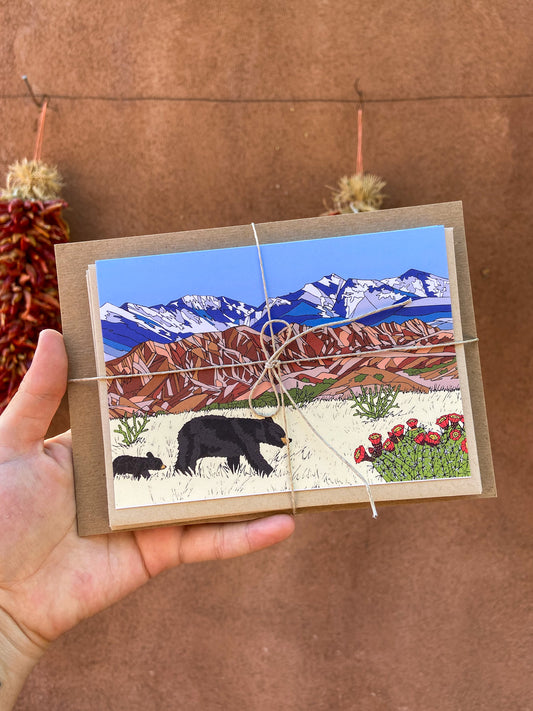 New Mexico Greeting Cards- Set of 5