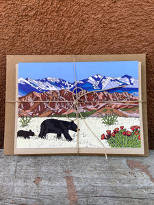 New Mexico Greeting Cards- Set of 5