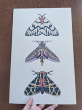 Load image into Gallery viewer, Moth Print 11x17 print - craft / off-white paper
