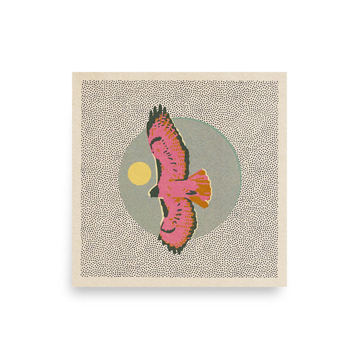 Hawk • 12”x 12” print