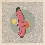 Hawk • 12”x 12” print
