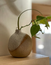 Load image into Gallery viewer, Speckled Vase - organic design
