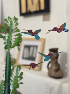 Picaflor ~ Hummingbird
