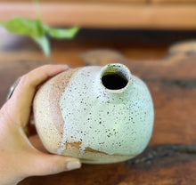 Load image into Gallery viewer, Speckled Vase - organic design
