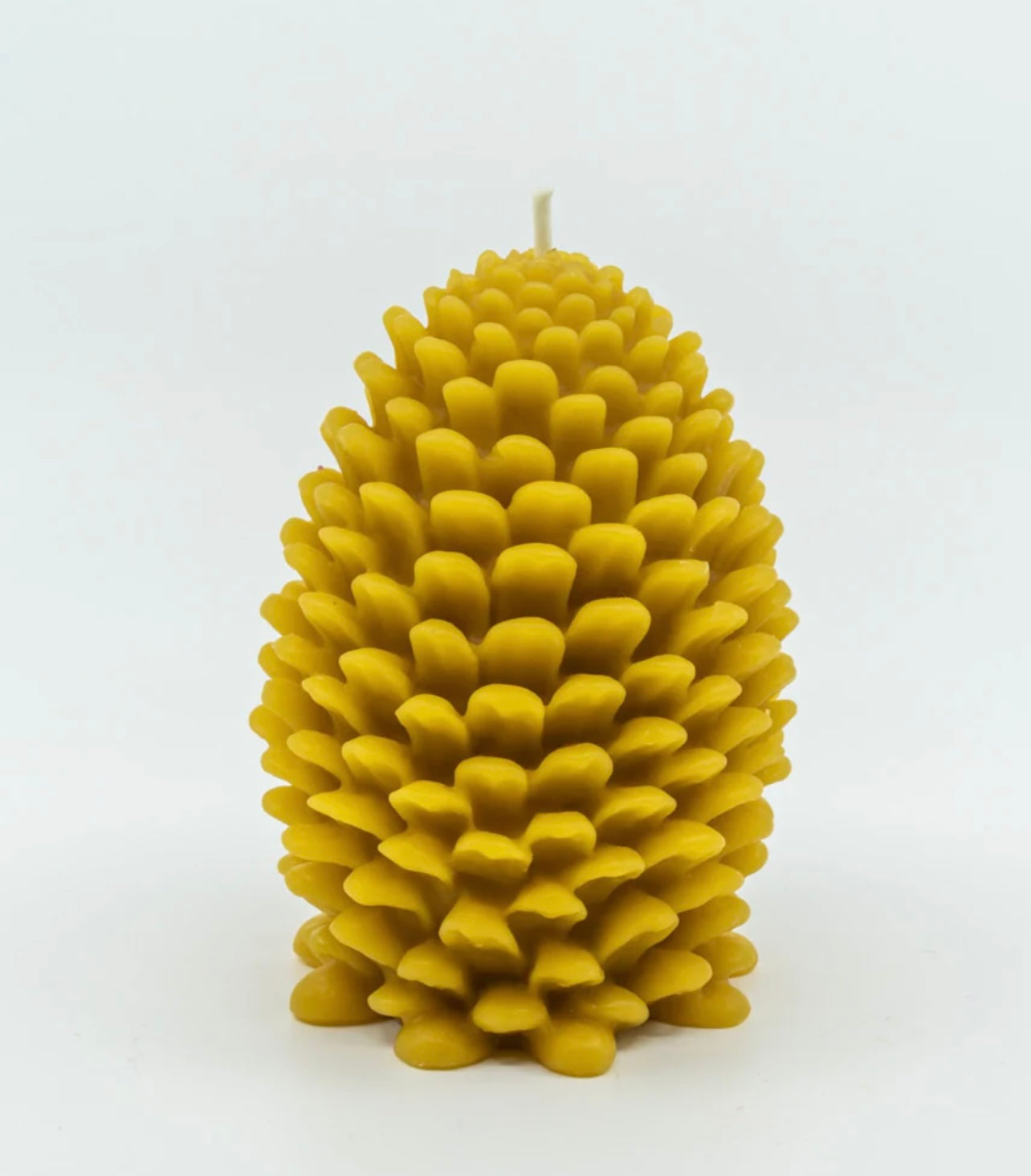 Sunbeam Candles - Pine Cone