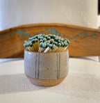 Match striker ~ stoneware