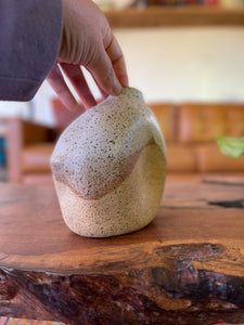 Speckled Vase - organic design