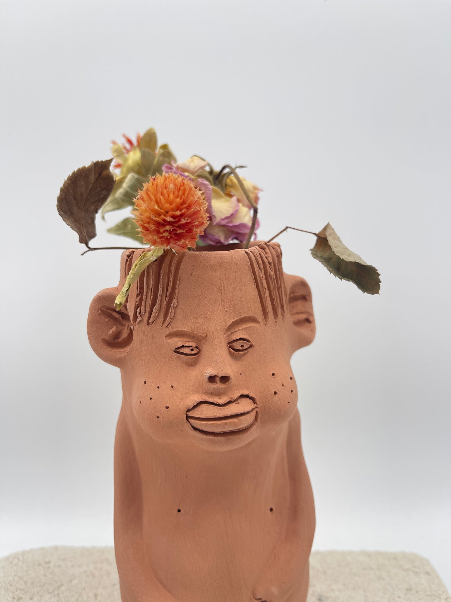 Terracota face planter ~ Cloromilo