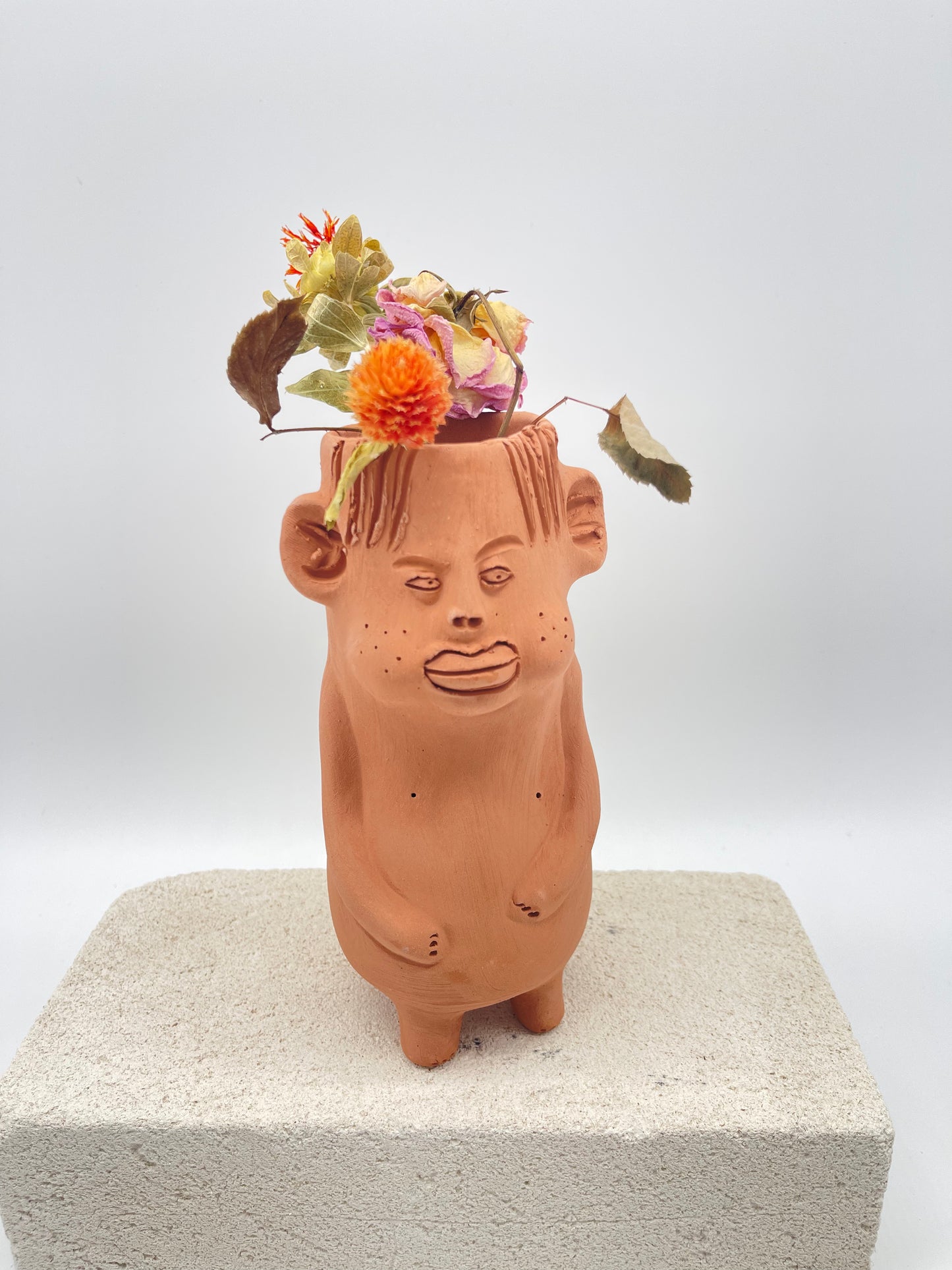 Terracota face planter ~ Cloromilo