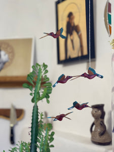 Picaflor ~ Hummingbird