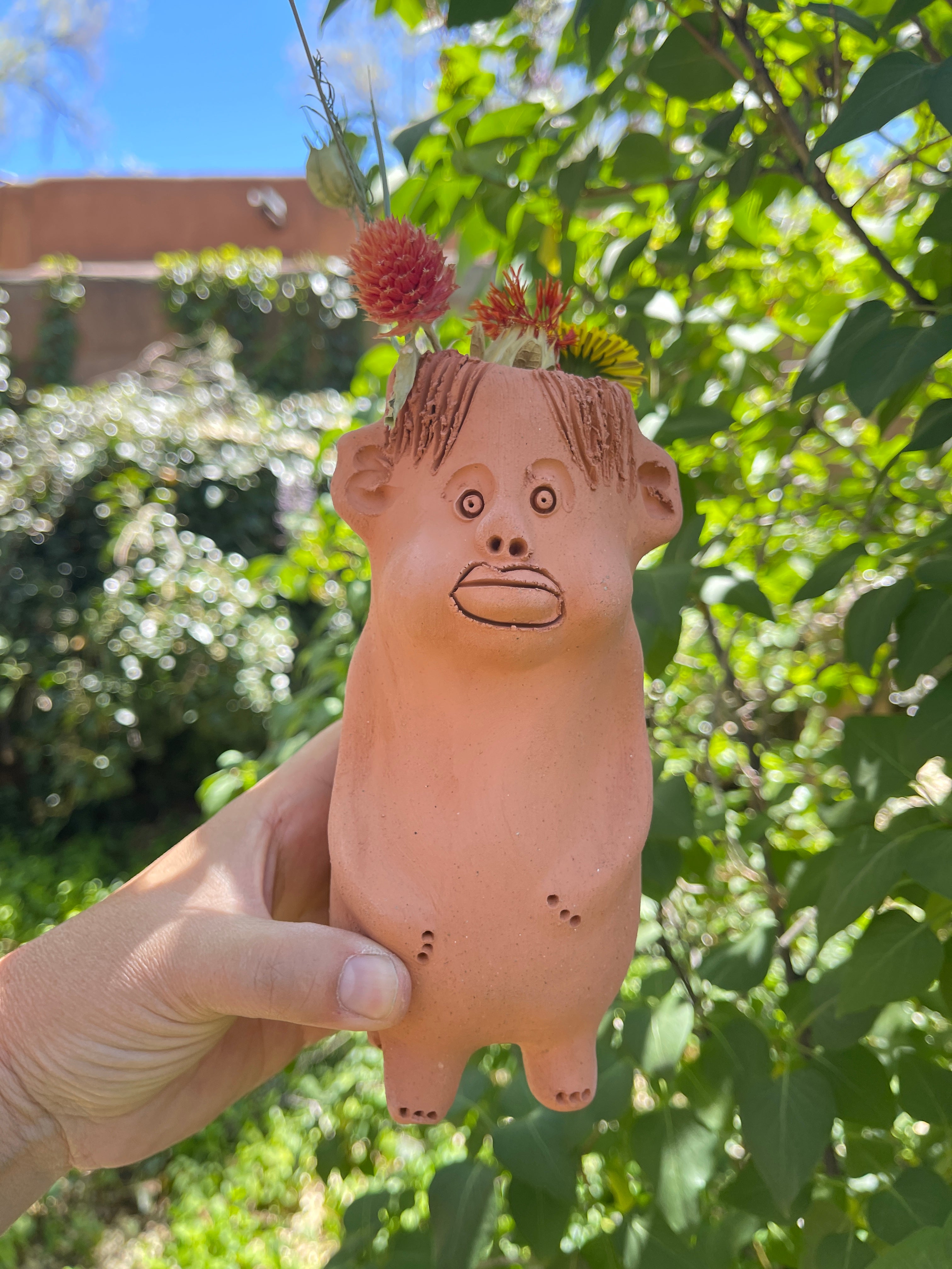 Terracota face planter ~ Cloromilo