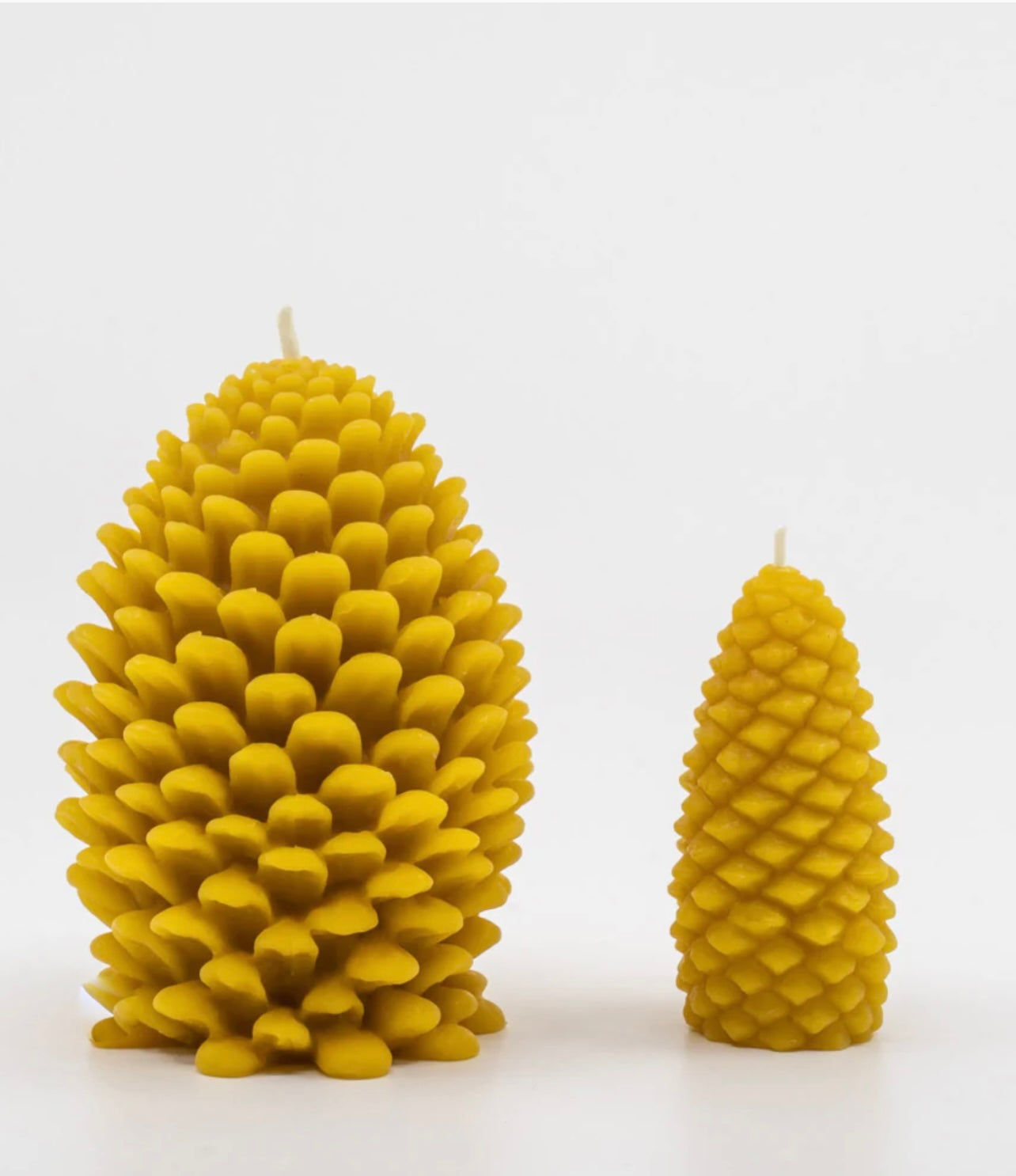 Sunbeam Candles - Pine Cone