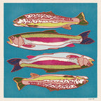 Rainbow Trout • 12”x 12” print