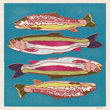 Load image into Gallery viewer, Rainbow Trout 12 x 12 print
