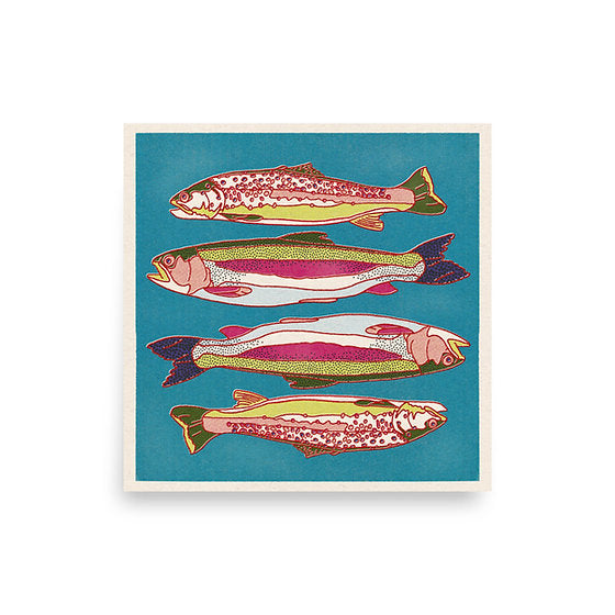 Rainbow Trout • 12”x 12” print