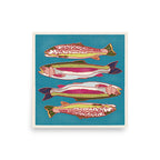 Rainbow Trout • 12”x 12” print