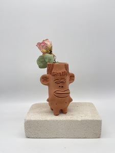 Terracota face planter - Cloromilo