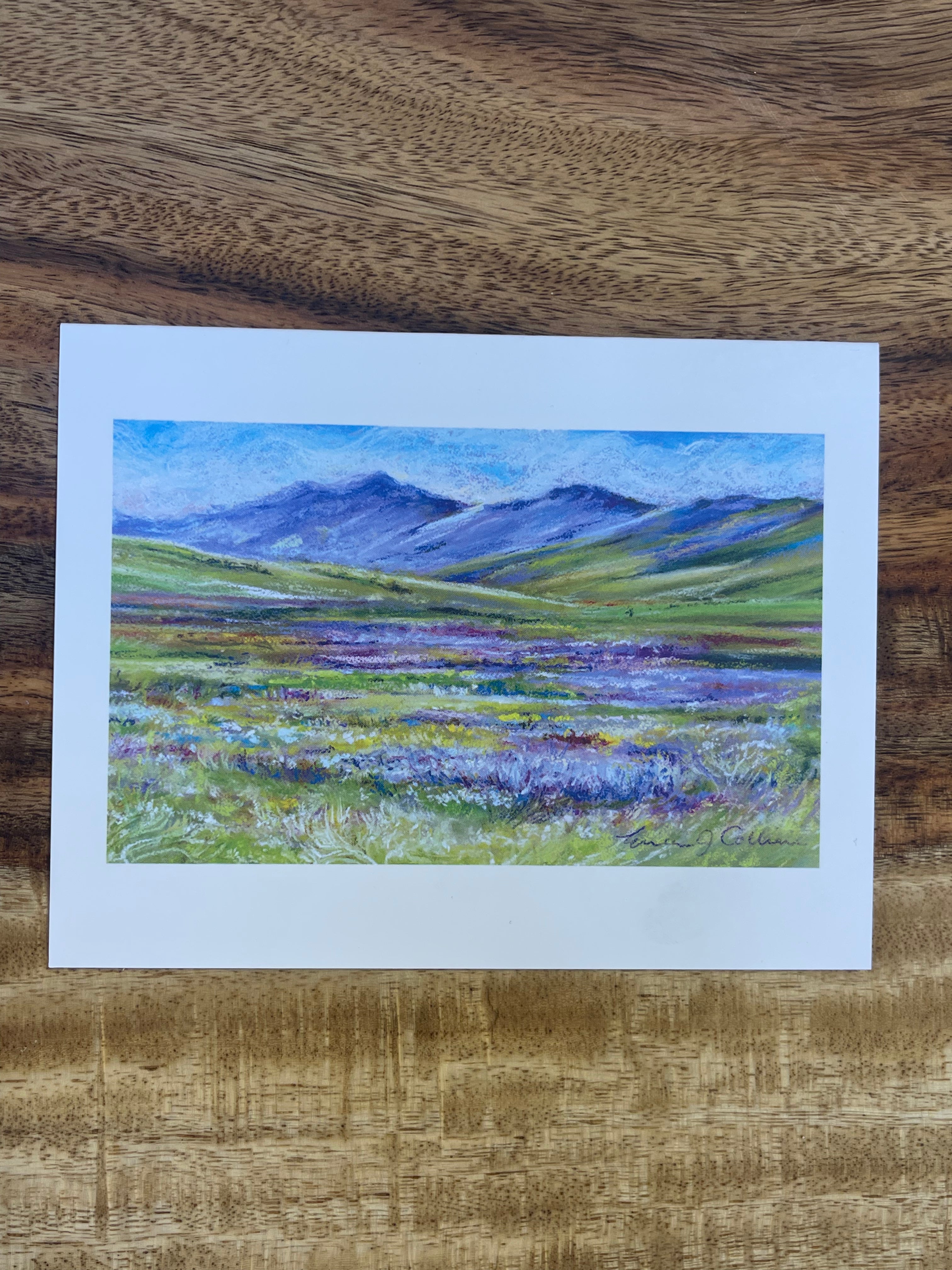 "Moreno Valley Wildflowers" ~ Blank Notecards ~ 6 of same image - Print of Watercolor Original